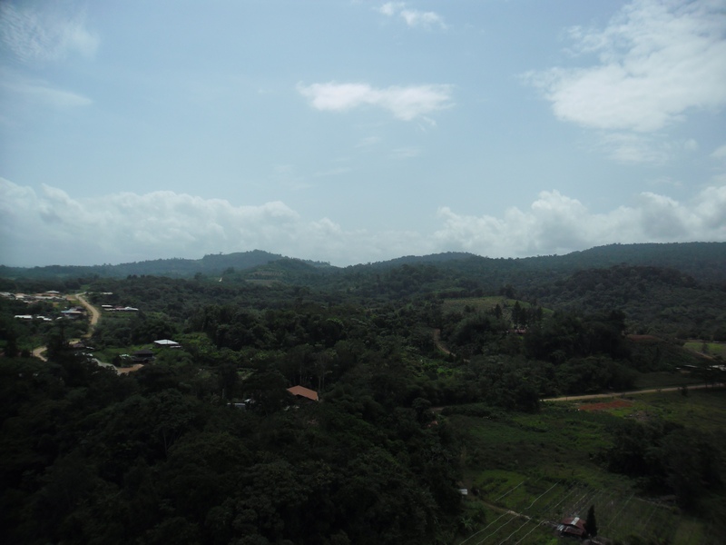 vue de l'antenne