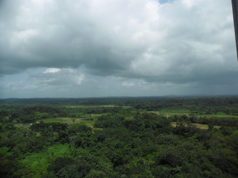 vue du haut de l'antenne