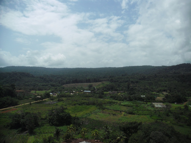 vue de l'antenne