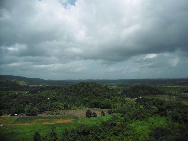 vue de l'antenne